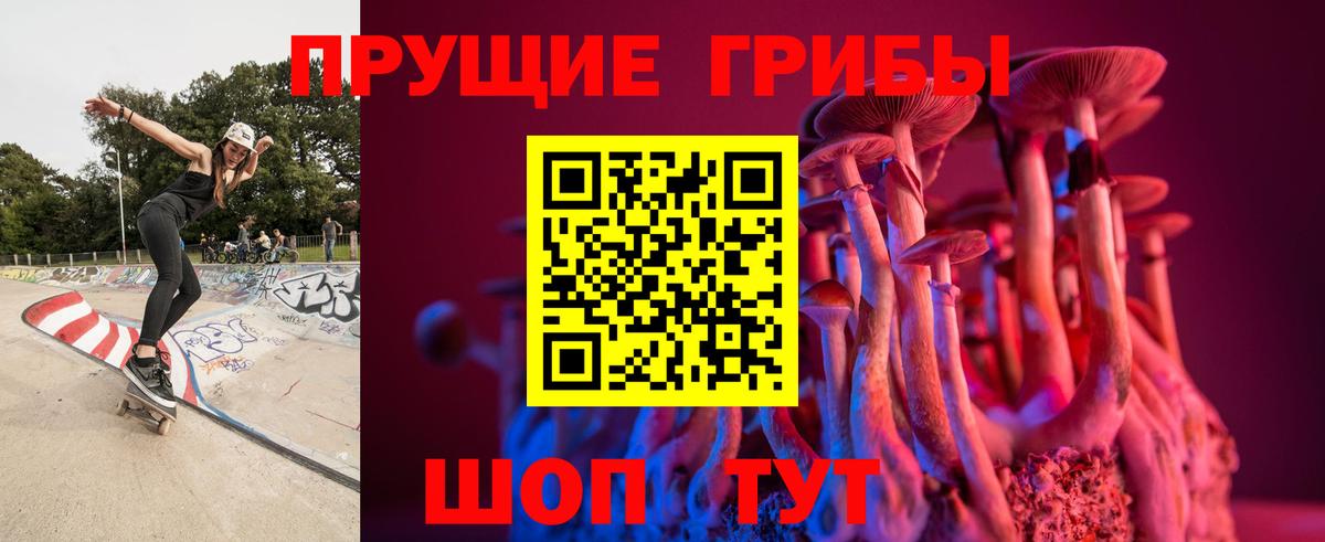 Галлюциногенные грибы мицелий  наркошоп  Тихвин  Вход с VPN 